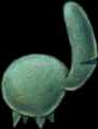 /album/neverhood-postavy/biovca-png/