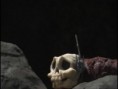 /album/skullmonkeys-screenshoty/a31-jpg1/